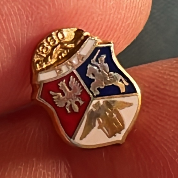 PNA lapel pin Polish national alliance - Picture 1 of 6